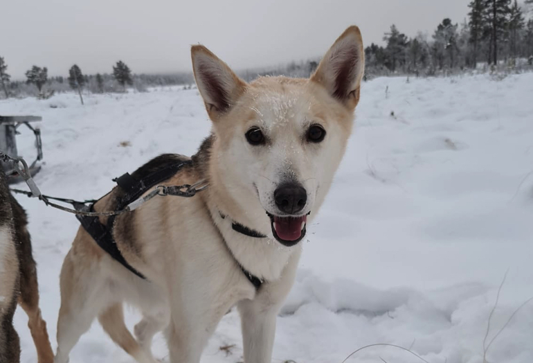 Image of Gia