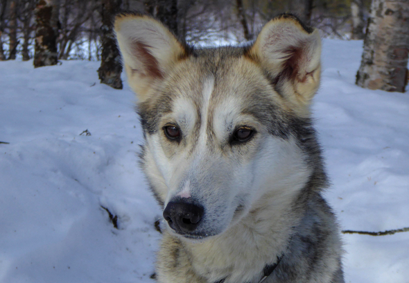 Image of Greta