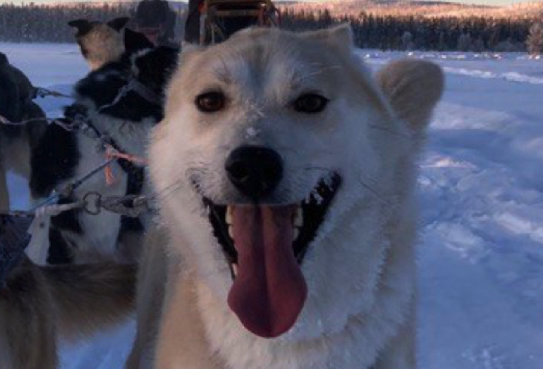 Image of Inuk